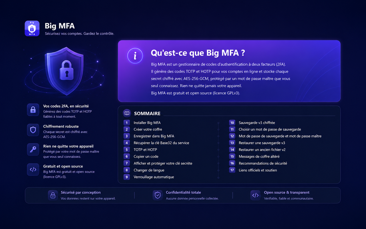 Guide d'utilisation Big MFA